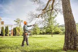Lawn Irrigation Installation and Maintenance in Wheeling, WV